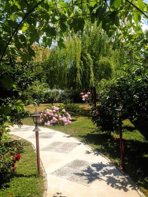 Villa Amsterdam Ohrid Exterior photo