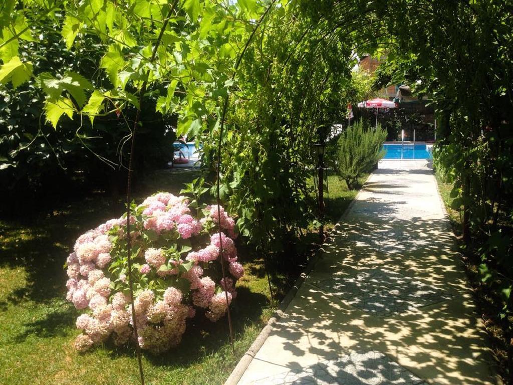 Villa Amsterdam Ohrid Exterior photo